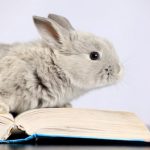What do rabbits eat to have a longer life