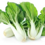can rabbits eat bok choy