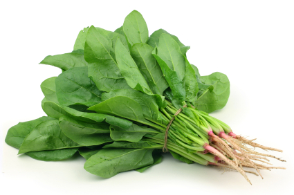 Can rabbits eat spinach