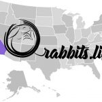 Adopt or buy a rabbit in California