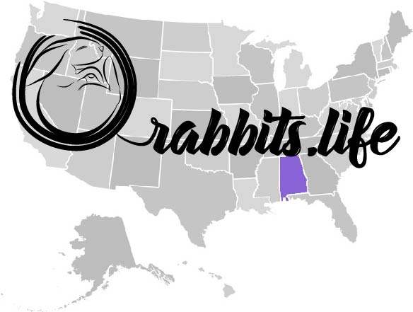 Adopt or buy a rabbit in Alabama