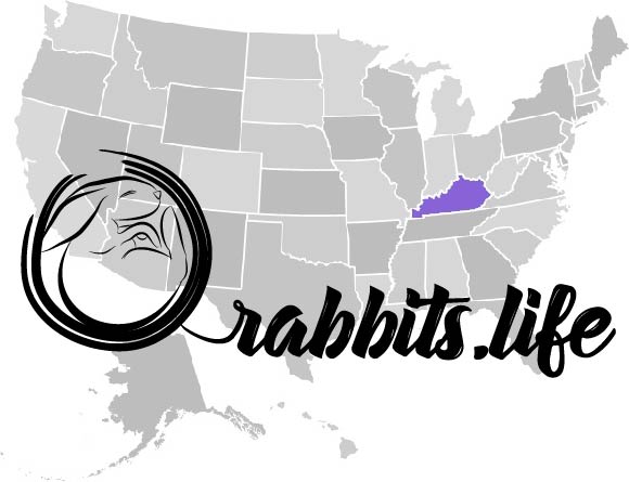 Adopt or buy a rabbit in Kentucky