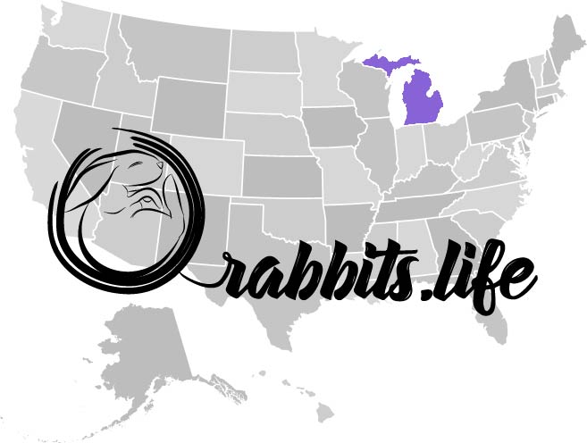 Adopt or buy a rabbit in Michigan