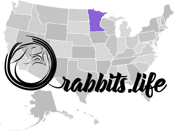 Adopt or buy a rabbit in Minnesota