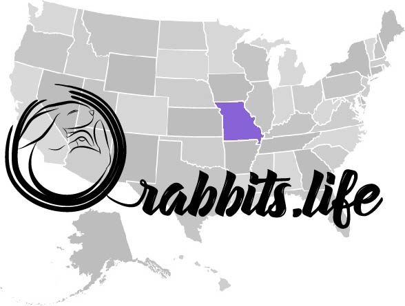 Adopt or buy a rabbit in Missouri