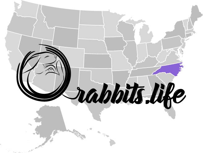 Adopt or buy a rabbit in North Carolina