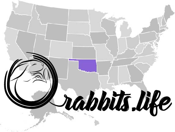 Adopt or buy a rabbit in Oklahoma