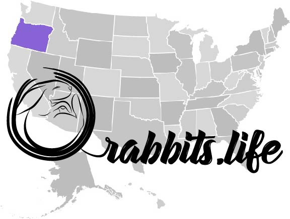 Adopt or buy a rabbit in Oregon