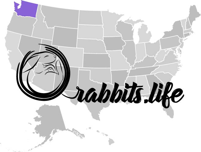 Adopt or buy a rabbit in Washington
