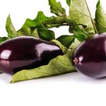 can rabbits eat eggplant