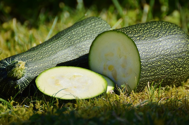 can diabetics eat zucchini