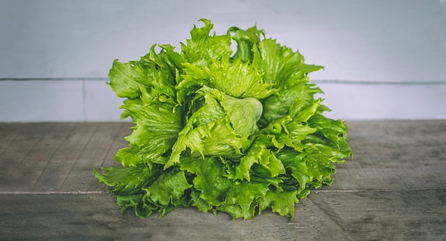 Types of lettuce store rabbits can eat