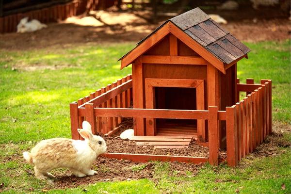 Outdoor bunny hutch outlet winter